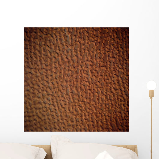 Satellite Sand Dunes Libya Wall Decal