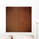 Satellite Sand Dunes Libya Wall Decal
