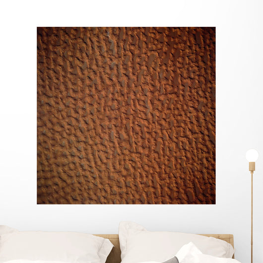 Satellite Sand Dunes Libya Wall Decal