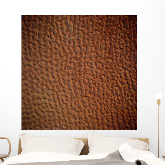 Satellite Sand Dunes Libya Wall Decal