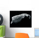 Image Asteroid Wall Decal