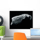 Image Asteroid Wall Decal