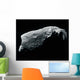 Image Asteroid Wall Decal
