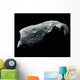 Image Asteroid Wall Decal