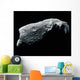 Image Asteroid Wall Decal
