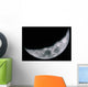 Quarter Moon Wall Decal