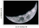 Quarter Moon Wall Decal