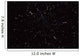 Stars Wall Decal Design 1