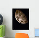 Moon Wall Decal Design 7