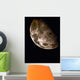 Moon Wall Decal Design 7