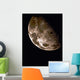 Moon Wall Decal Design 7