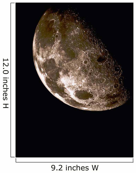 Moon Wall Decal Design 7
