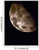 Moon Wall Decal Design 7