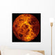 Venus Wall Decal