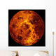 Venus Wall Decal