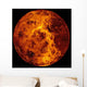 Venus Wall Decal