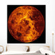 Venus Wall Decal