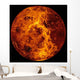 Venus Wall Decal