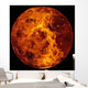 Venus Wall Decal