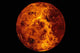 Venus Wall Decal