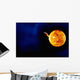 Solar Flare Wall Decal