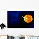 Solar Flare Wall Decal