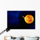Solar Flare Wall Decal
