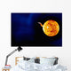 Solar Flare Wall Decal