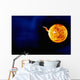 Solar Flare Wall Decal