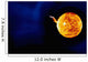 Solar Flare Wall Decal