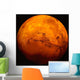 Mars Wall Decal Design 1