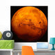 Mars Wall Decal Design 1