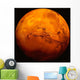Mars Wall Decal Design 1