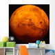 Mars Wall Decal Design 1