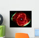 Cats Eye Nebula Wall Decal