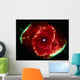 Cats Eye Nebula Wall Decal