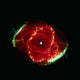 Cats Eye Nebula Wall Decal
