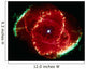 Cats Eye Nebula Wall Decal