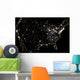 United States Night Showing Wall Decal