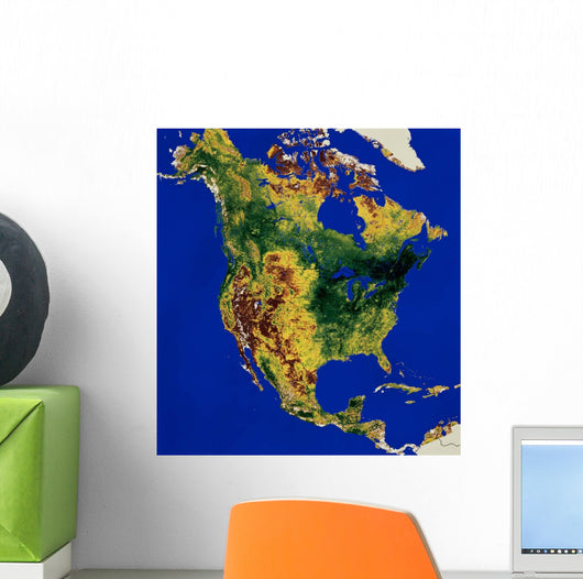 Topographic North and Central Wall Decal