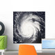Hurricane Frances Wall Decal Design 1