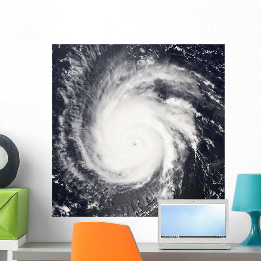 Hurricane Frances Wall Decal Design 1
