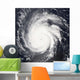 Hurricane Frances Wall Decal Design 1