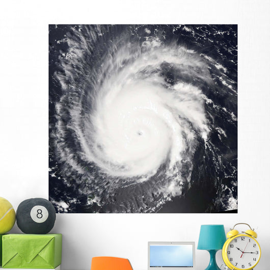Hurricane Frances Wall Decal Design 1