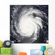 Hurricane Frances Wall Decal Design 1
