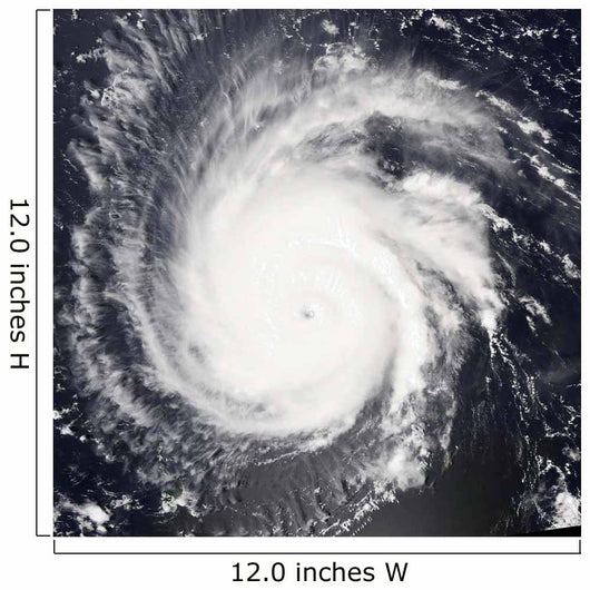 Hurricane Frances Wall Decal Design 1