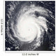 Hurricane Frances Wall Decal Design 1