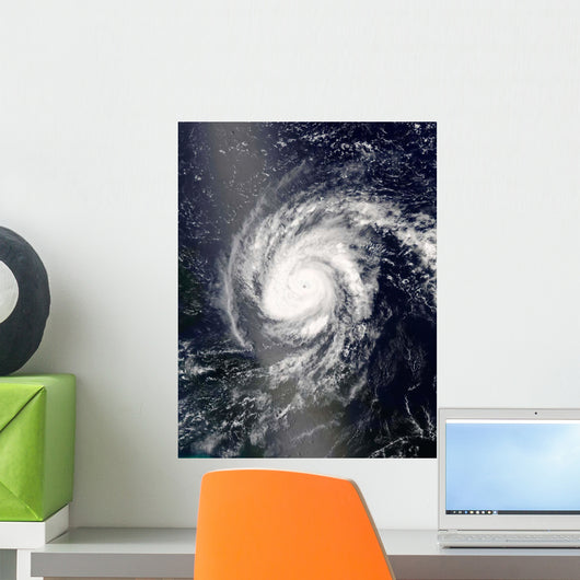 Hurricane Frances Wall Decal Design 2
