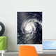 Hurricane Frances Wall Decal Design 2