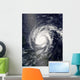 Hurricane Frances Wall Decal Design 2